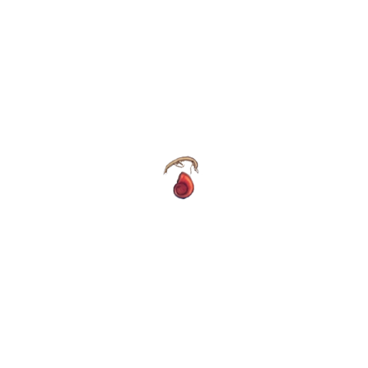 TBRI